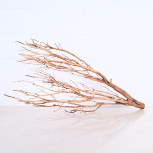 Manzanita 24&quot; Driftwood, Fish Tank Decor, Aquarium Aquascape Branch, Reptile Terrarium Wood