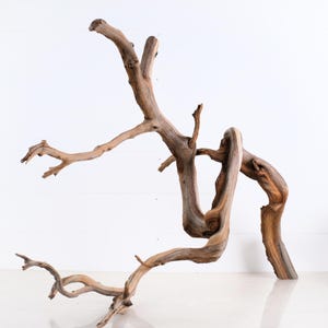 Manzanita 30&quot; Branch, Aquascape Driftwood, Aquarium Wood, Natural Fish Tank Decor, Reptile Terrarium Enrichment