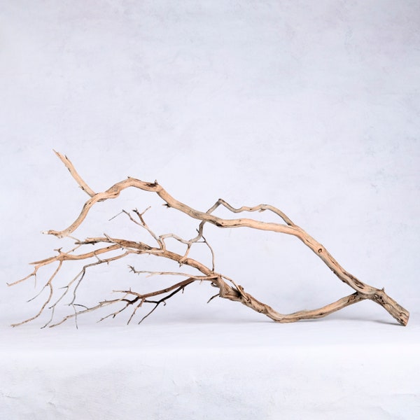 Manzanita 36" Branch, Large Aquarium Driftwood, Aquascape Centerpiece, Natural Fish Tank Decor, Reptile Terrarium Climb, Chandelier Branch