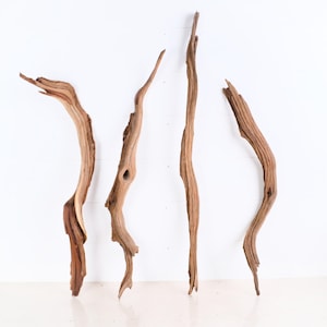 Manzanita 22&quot; - 28&quot; Driftwood Branches (Set of 4), Aquarium Decor, Aquascape Branch, Reptile Terrarium Wood