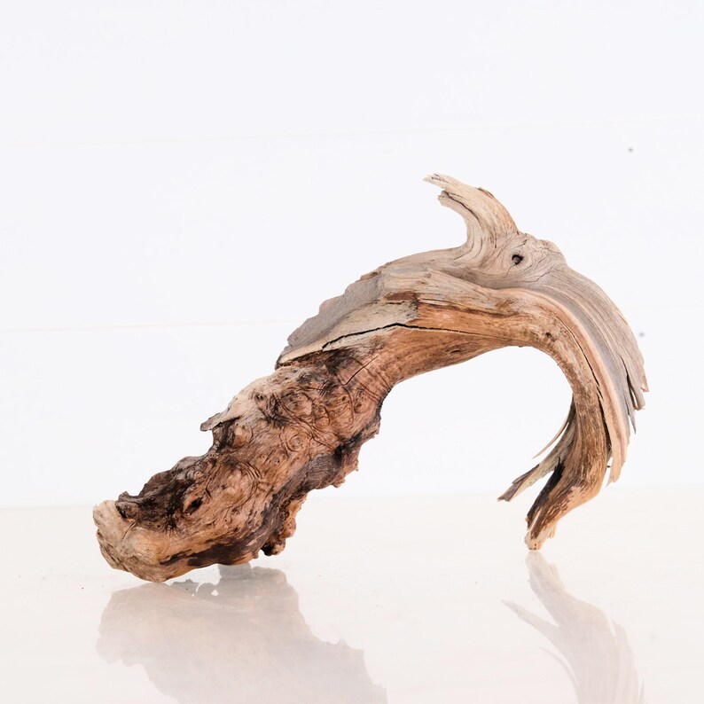 Manzanita 10 Branch, Aquascape Driftwood, Aquarium Rugged Wood, Fish