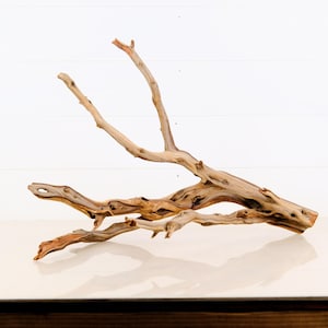 Manzanita 22.5&quot; Driftwood Branch, Aquarium Wood, Aquascape Decor, Terrarium Enrichment, Natural Reptile Climb