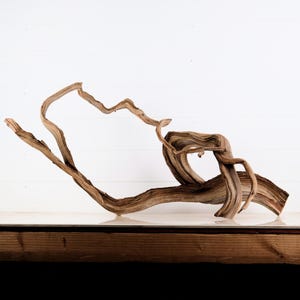 Manzanita 35&quot; Branch, Aquascape Driftwood, Aquarium Wood Arch, Natural Fish Tank Decor, Small Reptile Terrarium Enrichment