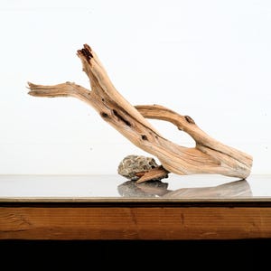 May include: A piece of driftwood with a natural, weathered appearance. The light brown wood has a curved shape with a hole and is resting on a small, gray rock. The wood is displayed against a white background.