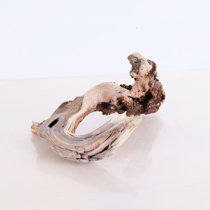 Manzanita 10 Branch, Aquascape Driftwood, Aquarium Rugged Wood, Fish