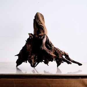 Manzanita 19&quot; Driftwood, Fish Tank Decor, Aquarium Aquascape Branch, Reptile Terrarium Wood