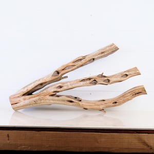 Manzanita 27&quot; Branch, Aquascape Driftwood, Aquarium Wood, Natural Fish Tank Decor, Small Reptile Terrarium Enrichment