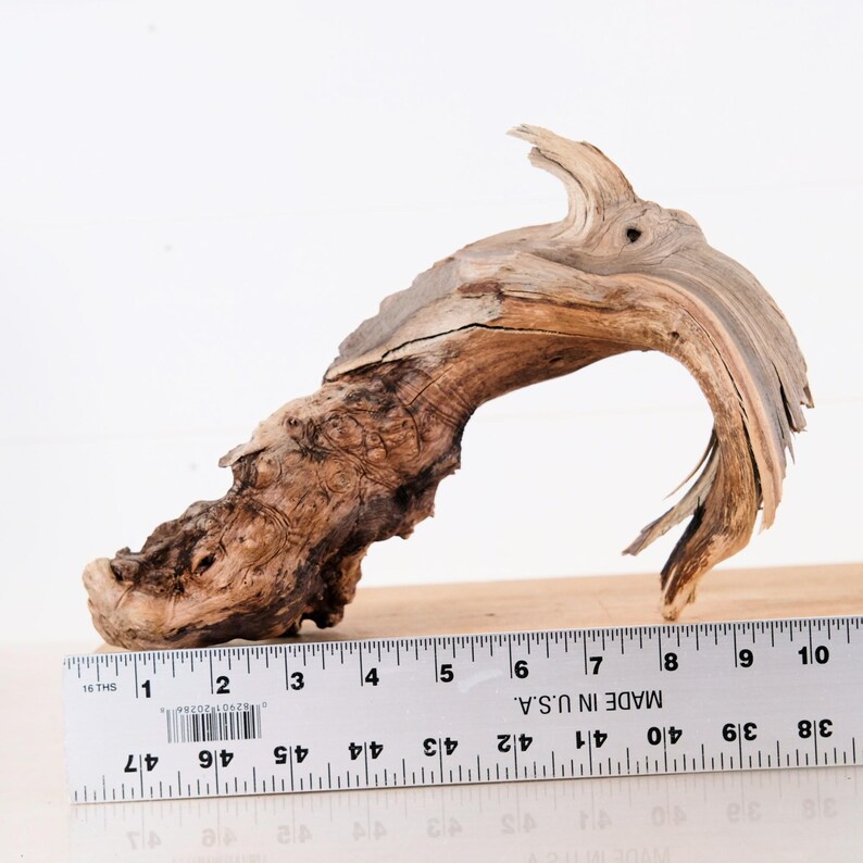 Manzanita 10 Branch, Aquascape Driftwood, Aquarium Rugged Wood, Fish