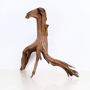 Manzanita 22&quot; Branch, Aquascape Driftwood, Aquarium Wood, Natural Fish Tank Decor, Reptile Terrarium Enrichment
