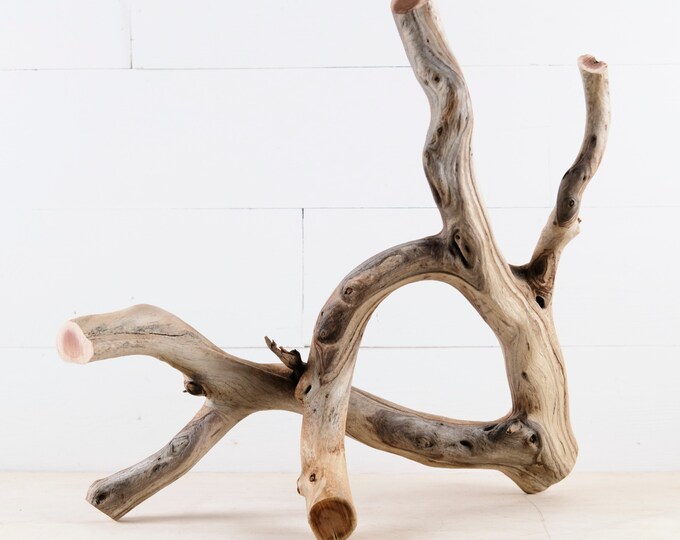 Manzanita 20 Branch, Large Aquascape Driftwood, Aquarium Wood