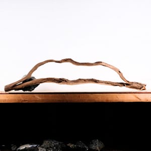 May include: A piece of driftwood, with a natural, weathered appearance, arches gracefully over a dark gray rock. The wood is a warm brown color, and the composition is set against a white background, creating a minimalist aesthetic.