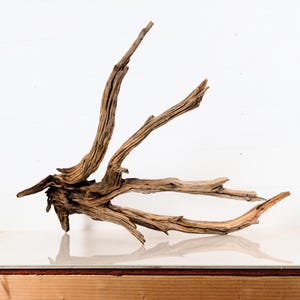 Manzanita 28&quot; Branch, Aquascape Driftwood, Large Aquarium Wood, Natural Fish Tank Decor, Reptile Terrarium Enrichment