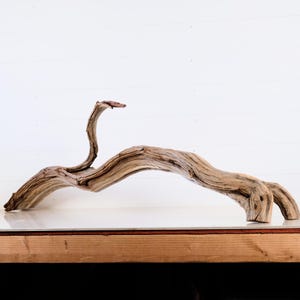 Manzanita 46&quot; Branch, Aquascape Driftwood, Narrow Aquarium Wood, Natural Fish Tank Decor, Small Reptile Terrarium Enrichment