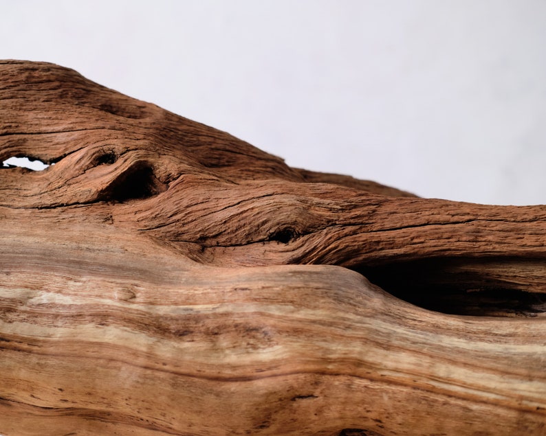 Extra Large 35 Manzanita Driftwood Chunk Weathered Etsy