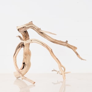 Manzanita 15&quot; Driftwood Branch, Large Aquarium Wood, Aquascape Decor, Terrarium Enrichment, Natural Reptile Climb