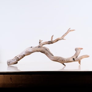 Manzanita 28&quot; Driftwood, Fish Tank Decor, Aquarium Aquascape Branch, Reptile Terrarium Wood