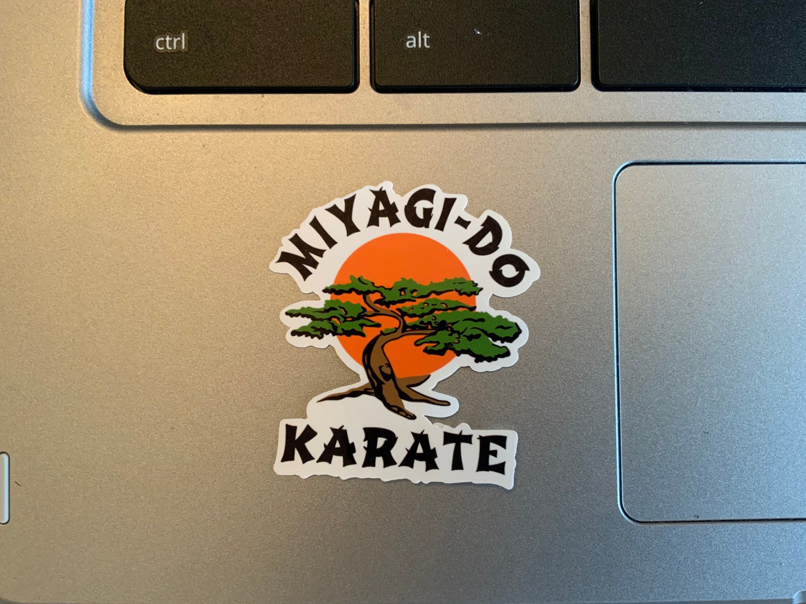 Sweat Capuche Miyagi-Do Karaté Kid - Coton - Design Vintage - Cadeau Fan De Karaté