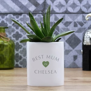 Best Mum In Plant Pot | Personalised Gift | Mother's Day Gifts