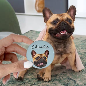May include: A tan and black French Bulldog sits beside a round button with a French Bulldog image and the name "Charlie" on a light blue background. The dog is wearing a pink cloth.
