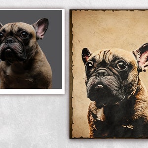 Custom Dog Poster, Custom Pet Portrait, Custom Dog Portrait, Custom Vintage Poster, Personalized Poster, Pet Memorial Gift, Dog Lover Gift