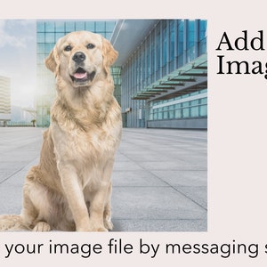 May include: A golden retriever dog sitting in front of a modern office building. The dog is looking directly at the camera.  Add your image to this space.