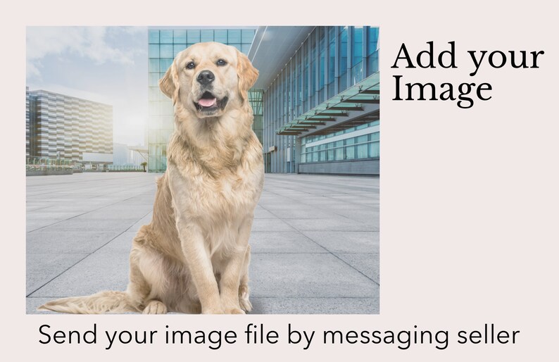 May include: A golden retriever dog sitting in front of a modern office building. The dog is looking directly at the camera.  Add your image to this space.