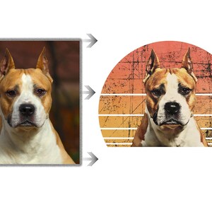 A comparison of a dog's photograph on the left and a stylized graphic version on the right. The graphic features a image of the dog placed within a circular, retro-style sunset design with distressed textures, blending shades of orange and yellow.