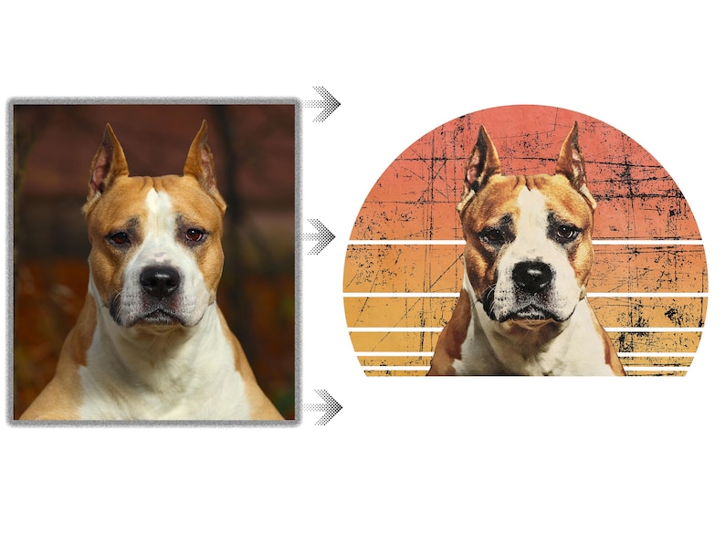 A comparison of a dog's photograph on the left and a stylized graphic version on the right. The graphic features a image of the dog placed within a circular, retro-style sunset design with distressed textures, blending shades of orange and yellow.