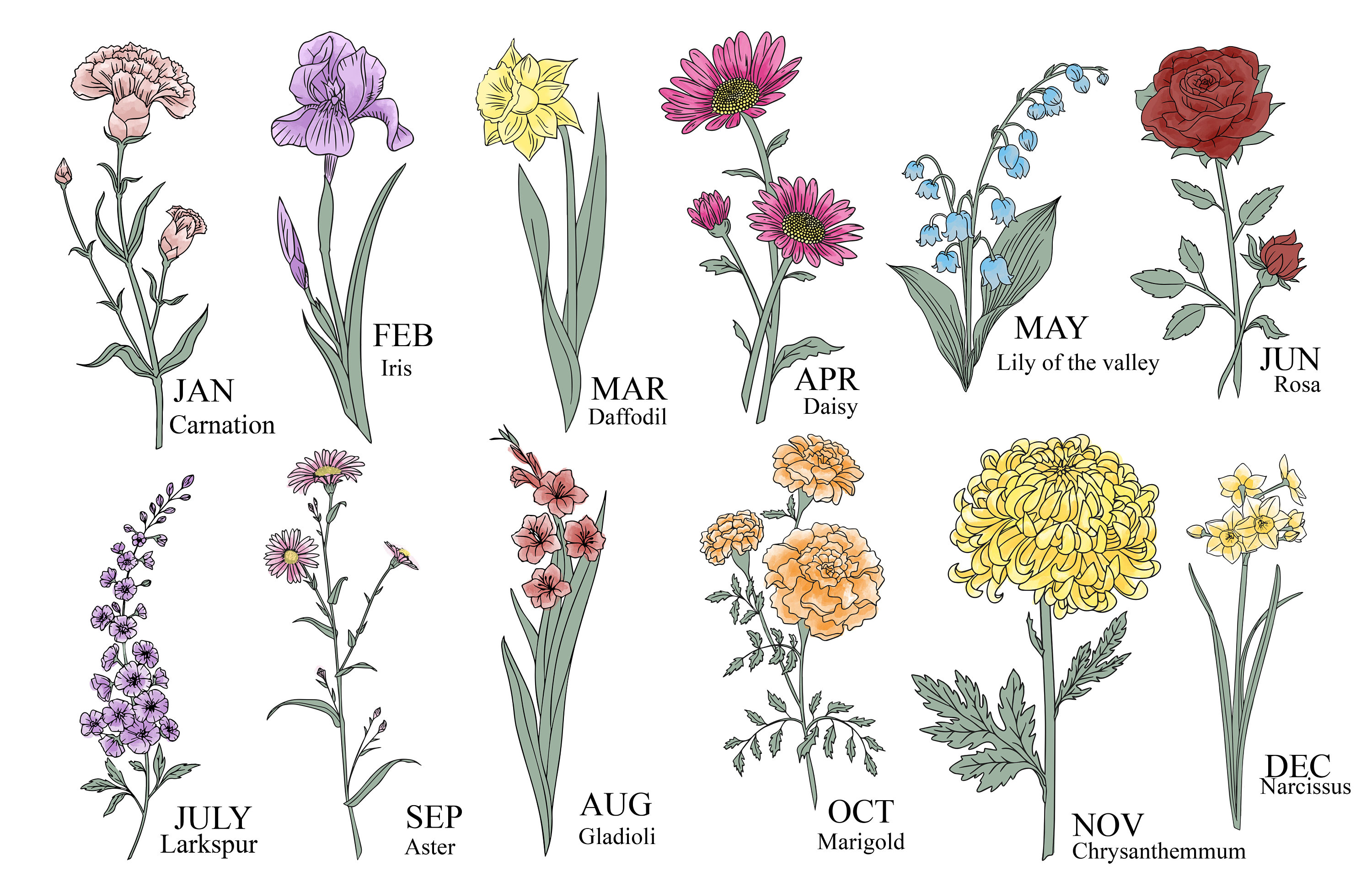 Customized Birth Month Flower Wall Art Flower Bouquet Poster Etsy