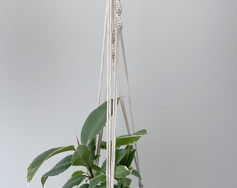 Macrame plant hanger | Indoor Plant hanger