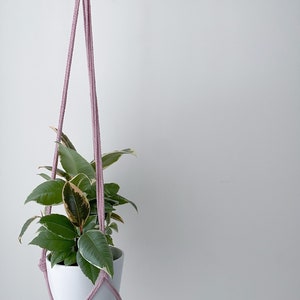 May include: A pink macrame plant hanger with a white pot and a green plant with variegated leaves.
