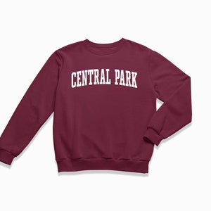 Central Park Sweatshirt: Central Park New York City Crewneck / College Style Sweatshirt / Vintage Inspired Sweater image 6