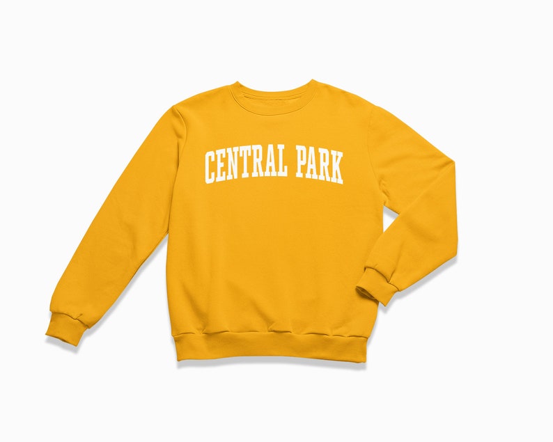 Central Park Sweatshirt: Central Park New York City Crewneck / College Style Sweatshirt / Vintage Inspired Sweater image 5