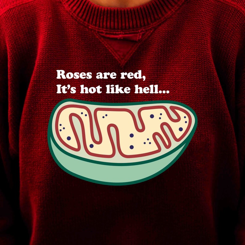 Roses Are Red, It's Hot Like Hell Svg Instant Digital Download of