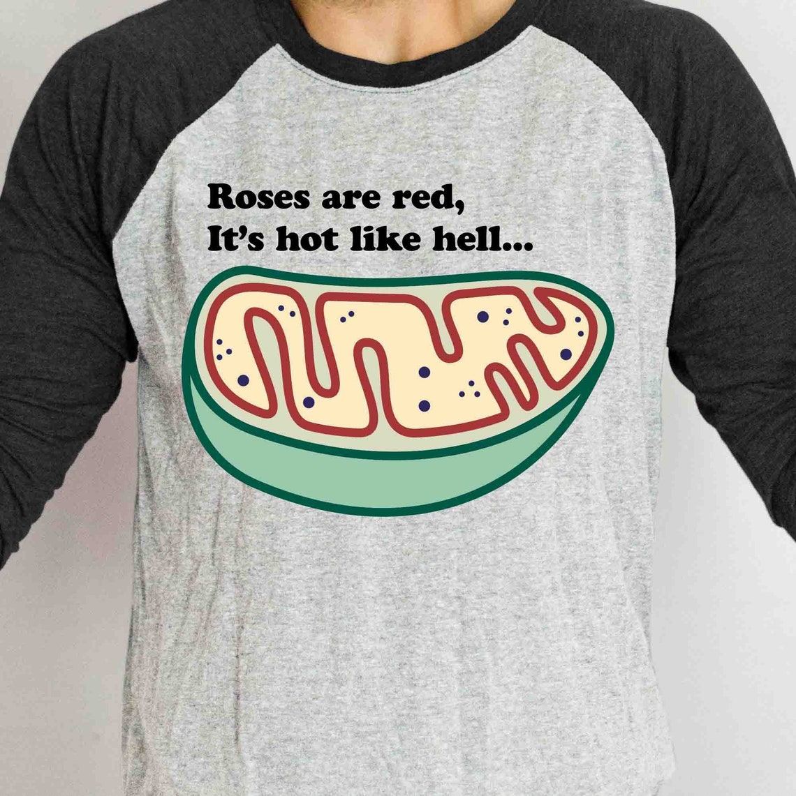 Roses Are Red, It's Hot Like Hell Svg Instant Digital Download of