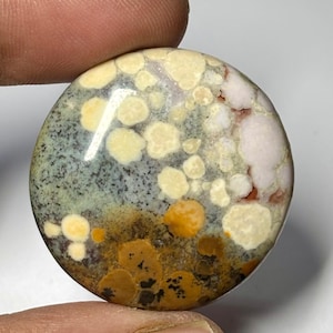 Puede incluir: Una gema redonda y pulida con un patrón único. La piedra presenta una mezcla de colores, incluyendo amarillo, naranja, marrón, blanco y gris. La superficie tiene un aspecto moteado, con manchas y parches de varios tamaños.