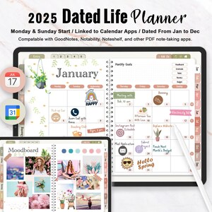 2025 Dated Digital Planner, All in One Life Planner, Boho Digital Planner, Digital Planning, iPad Planner,for GoodNotes Notability