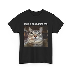 Rage Consumes Me Cat Shirt, Funny Cat Meme T-Shirt, Vintage Unhinged Cat Tee, Silly Cat Graphic Shirt, Weird Humor Unisex Shirt ,Cat Shirt
