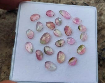 Gemme taglio rosa di tormalina anguria: 7 carati bicolore 22 pezzi