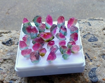Rare Watermelon Tourmaline Raw: Top Grade Natural Bi Color Gemstone, 59 Carats Rough 29 Pieces