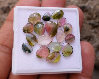 17 Pcs Rose Cut Watermelon Tourmaline Gemstones: Bi-Color Flat Backs (13 Carats)
