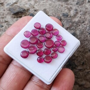 AAA Rhodolit Ädelsten: 19,5 karat Naturligt Lila Rosa Mynt