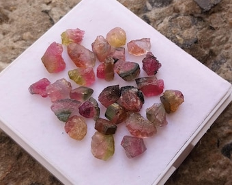 Raw Watermelon Tourmaline: 42.5 Carat Bi-Color Gemstone Rough 27 Pieces