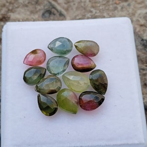 Bi-Color Tourmaline Gemstone Lot: Almond Cut, 10 Carats - Jewelry Making