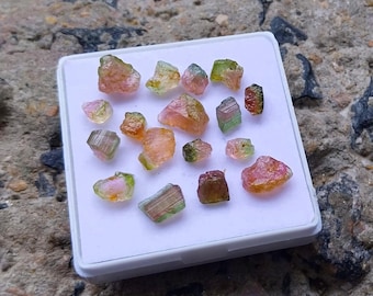Bi-Color Watermelon Tourmaline Rough: 26.50 Carat Natural Gemstone 20 pieces