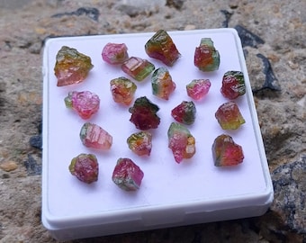 Watermelon Tourmaline Rough: 29 Carat Bi-Color Gemstone 19 Pcs