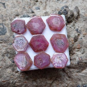 Fette di rubino scintillanti: 9 pezzi, gemma naturale non trattata da 58 carati