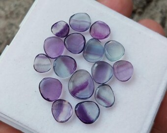 Bi-Color Fluorite Gemstone Slices: Purple, Blue, Green - 29.90 Carats (16 Pcs)