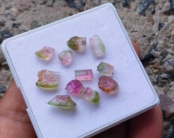 Watermelon Tourmaline Rough: 15 Carat Bi-Color Gemstone 11 Pcs Lot