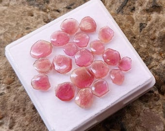 Pink Bi-Color Tourmaline Slice Gemstones: 15.75 Carat 20 pcs Lot